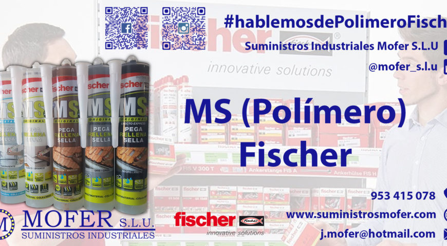 Polimero MS Fischer